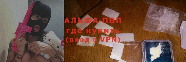 индика Алзамай
