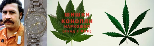 индика Алзамай