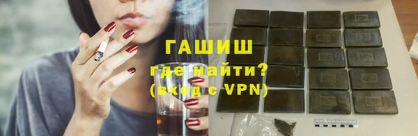 индика Алзамай