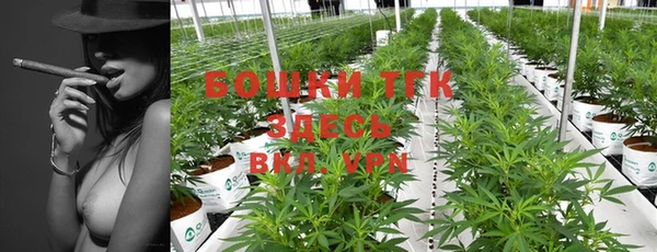 прущие крисы Абаза